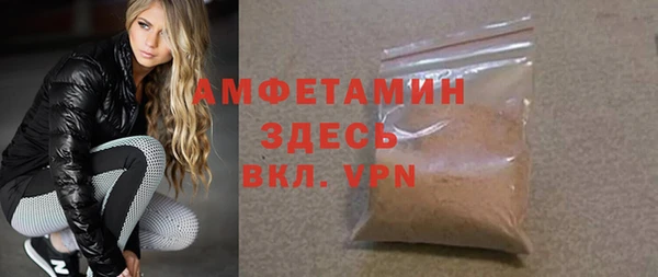мет Алексин