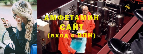 мет Алексин