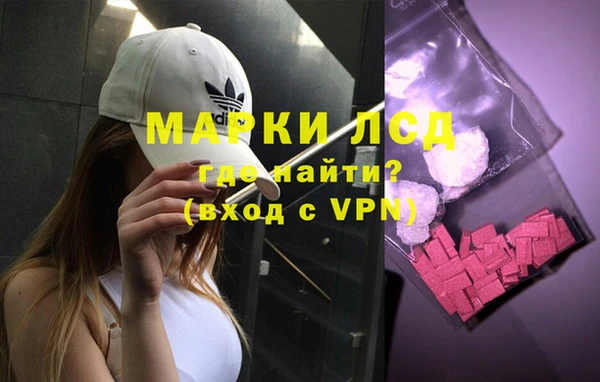 мет Алексин